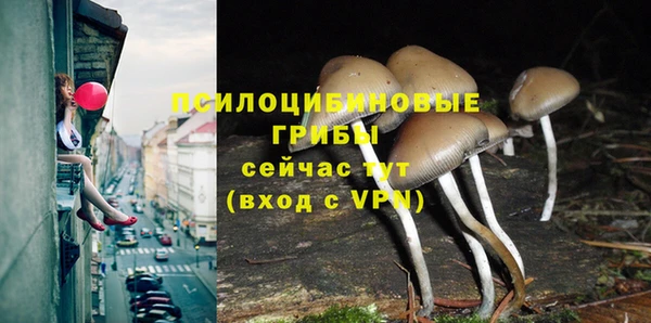 кокаин колумбия Коряжма